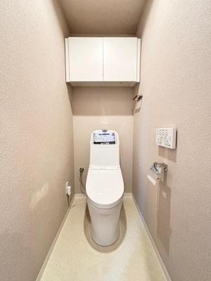 gC `Toilet`
Vvȓ̃XbLƂgCłB₨|AȒPɂłVvȃfUC̃gCłB